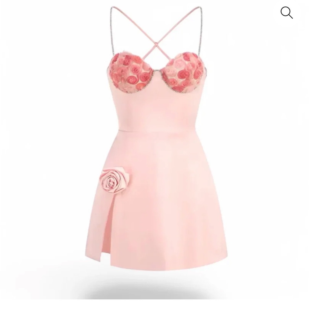 Jessica Bara Pink Rose Dress
